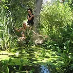 לינה וארוחת בוקר Il Glicine La Piana Dei Colli