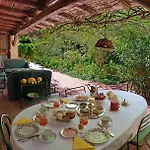 Il Glicine La Piana Dei Colli
