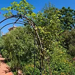 לינה וארוחת בוקר Il Glicine La Piana Dei Colli