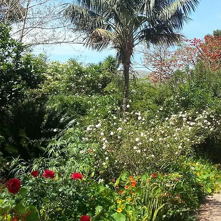 Il Glicine La Piana Dei Colli Bed & Breakfast Mondello