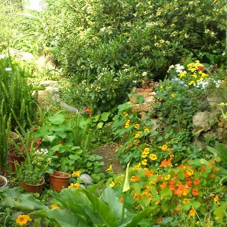 Il Glicine La Piana Dei Colli Bed & Breakfast 4*