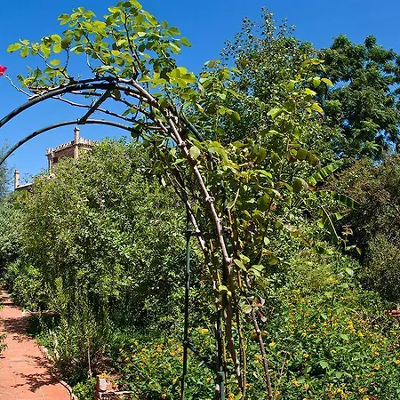 Bed & Breakfast Il Glicine La Piana Dei Colli